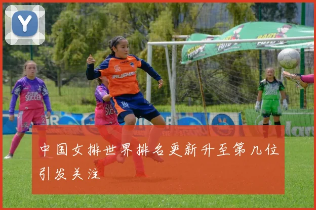 中国女排世界排名更新升至第几位引发关注