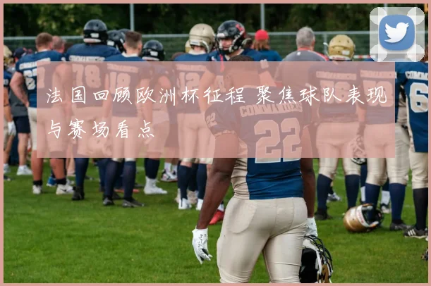 法国回顾欧洲杯征程 聚焦球队表现与赛场看点