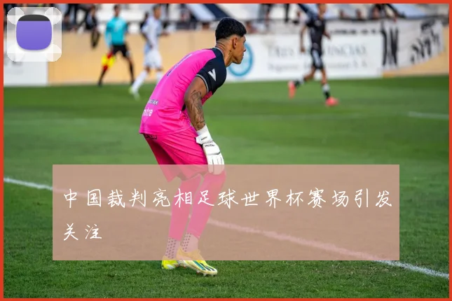 中国裁判亮相足球世界杯赛场引发关注