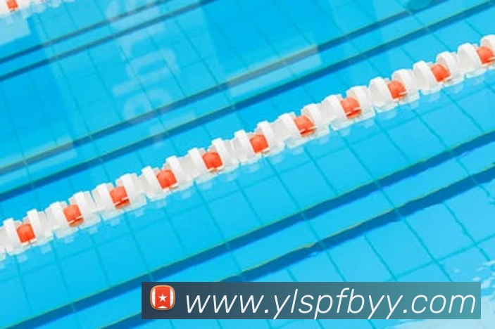 k1体育官网登录入口服务体系