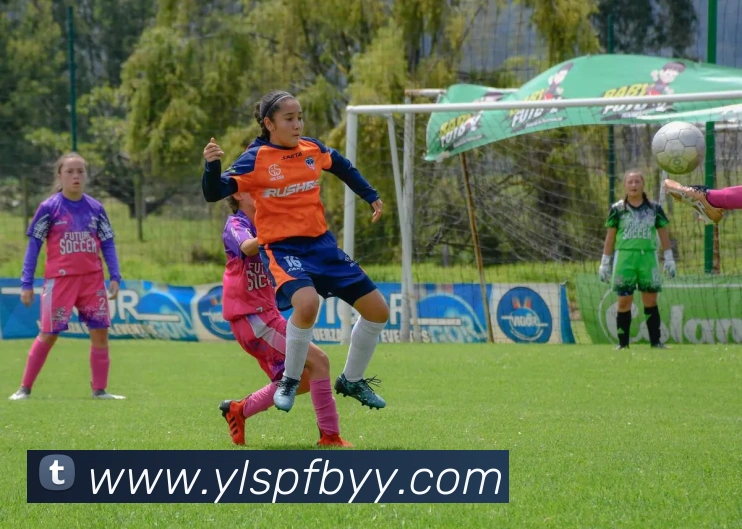 k1体育官网登录入口APP 体育赛事宣传图